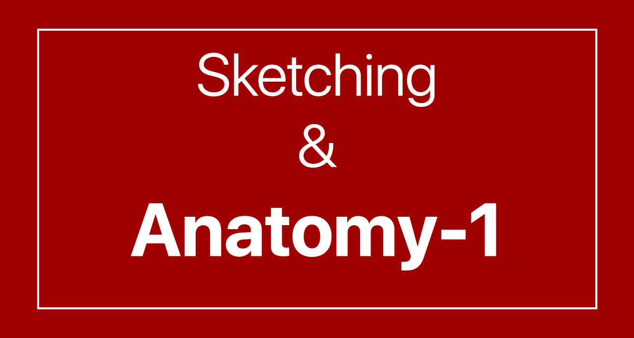 Sketching and Anatomy-1