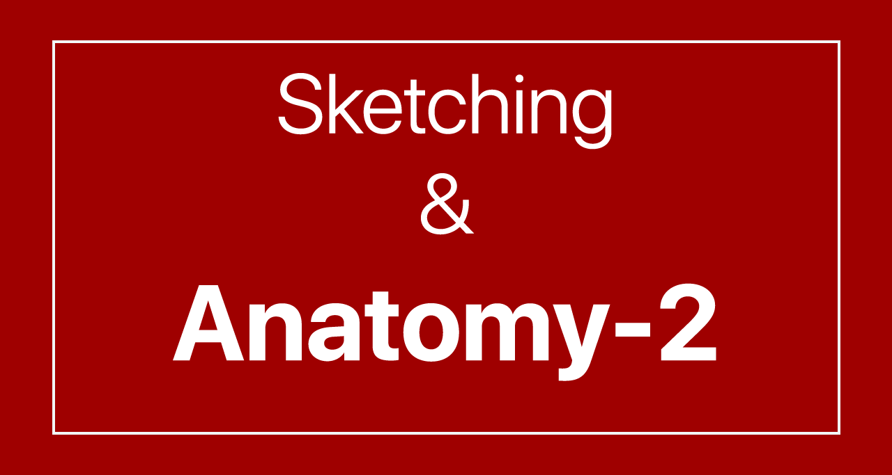 Sketching and Anatomy-2